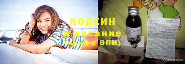 тгк Бородино
