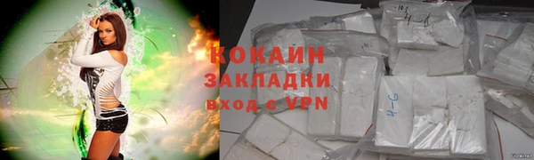 тгк Бородино