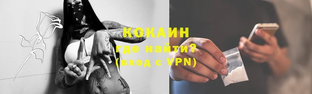 тгк Бородино