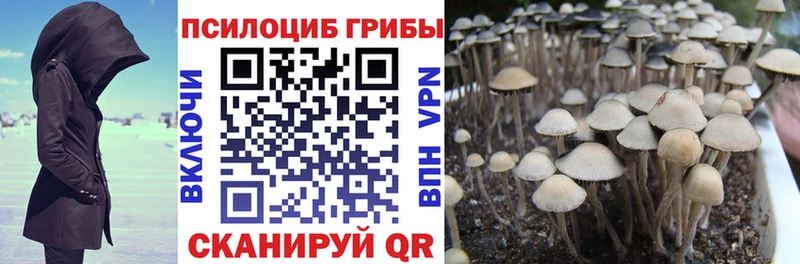 Галлюциногенные грибы мухоморы закладка Палласовка