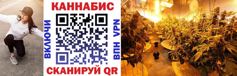 МАРИХУАНА планчик  Палласовка 